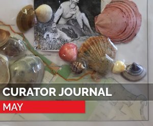 curator journal - may